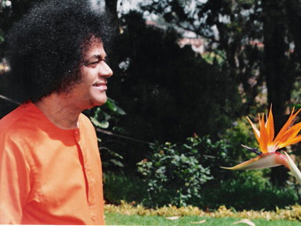 Beloved Bhagawan Sri Sathya Sai Baba